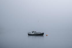 Nebbia cerebrale: una conseguenza della menopausa da affrontare con decisione